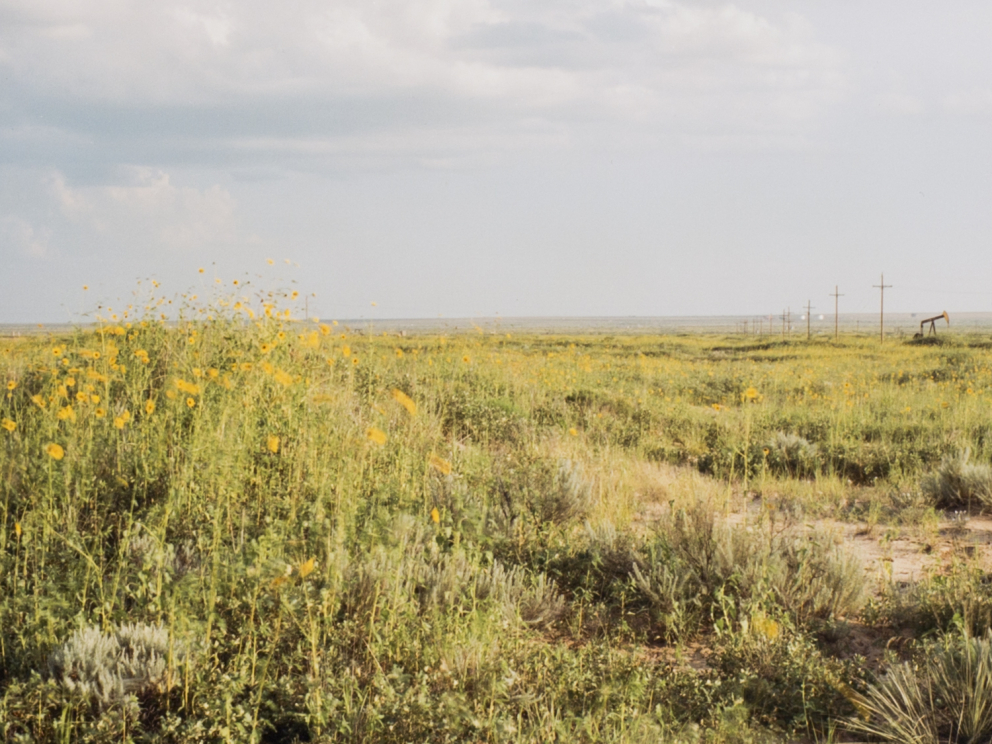 U.S. Hwy 180, Seminole, Texas