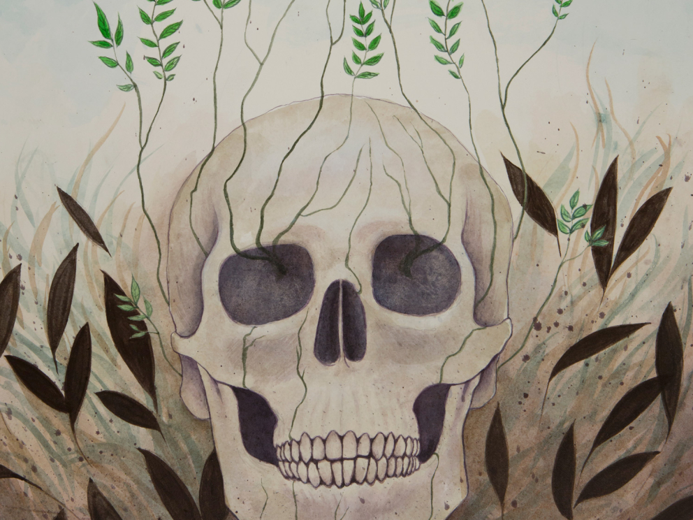 Vanitas