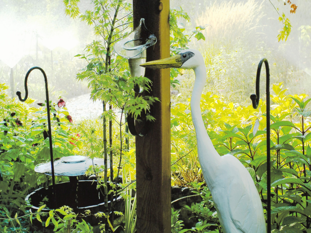 Flower Farm Nursery, 2011