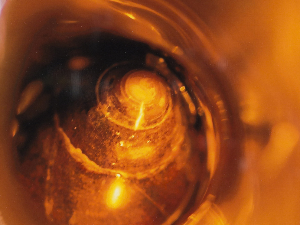 Winkles and Glass