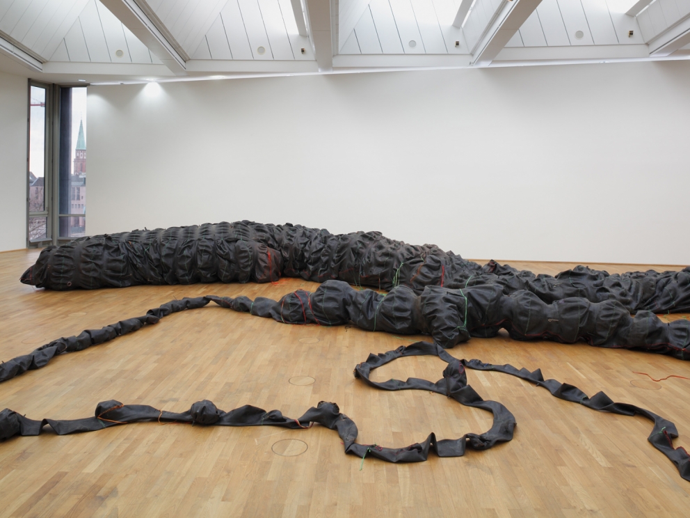 Nicholas Hlobo, Tyaphaka, 2012