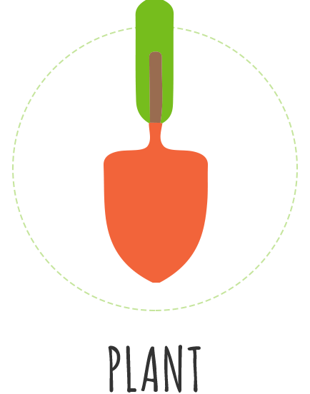 plant icon