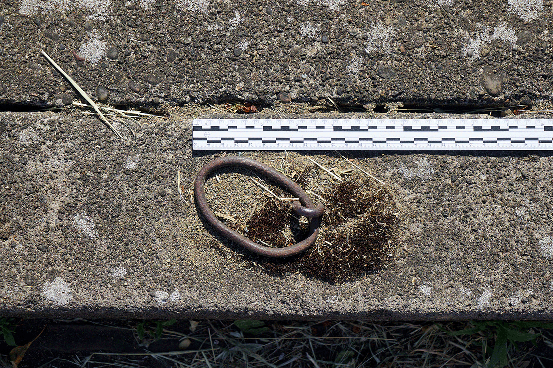 Detail of a metal hook affixed to a sidewalk