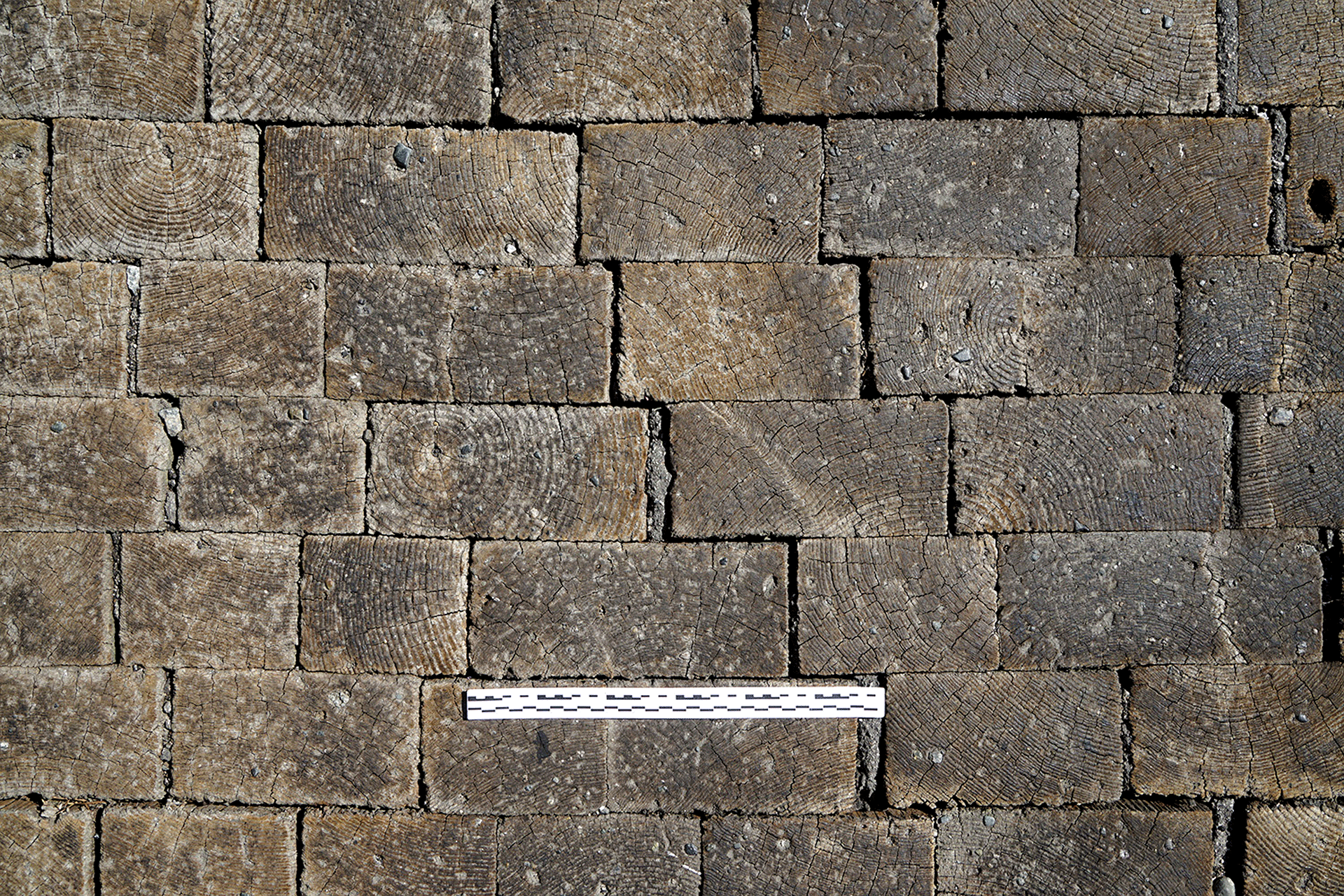 Wooden blocks making up a sidewalk with ruler measuring a block