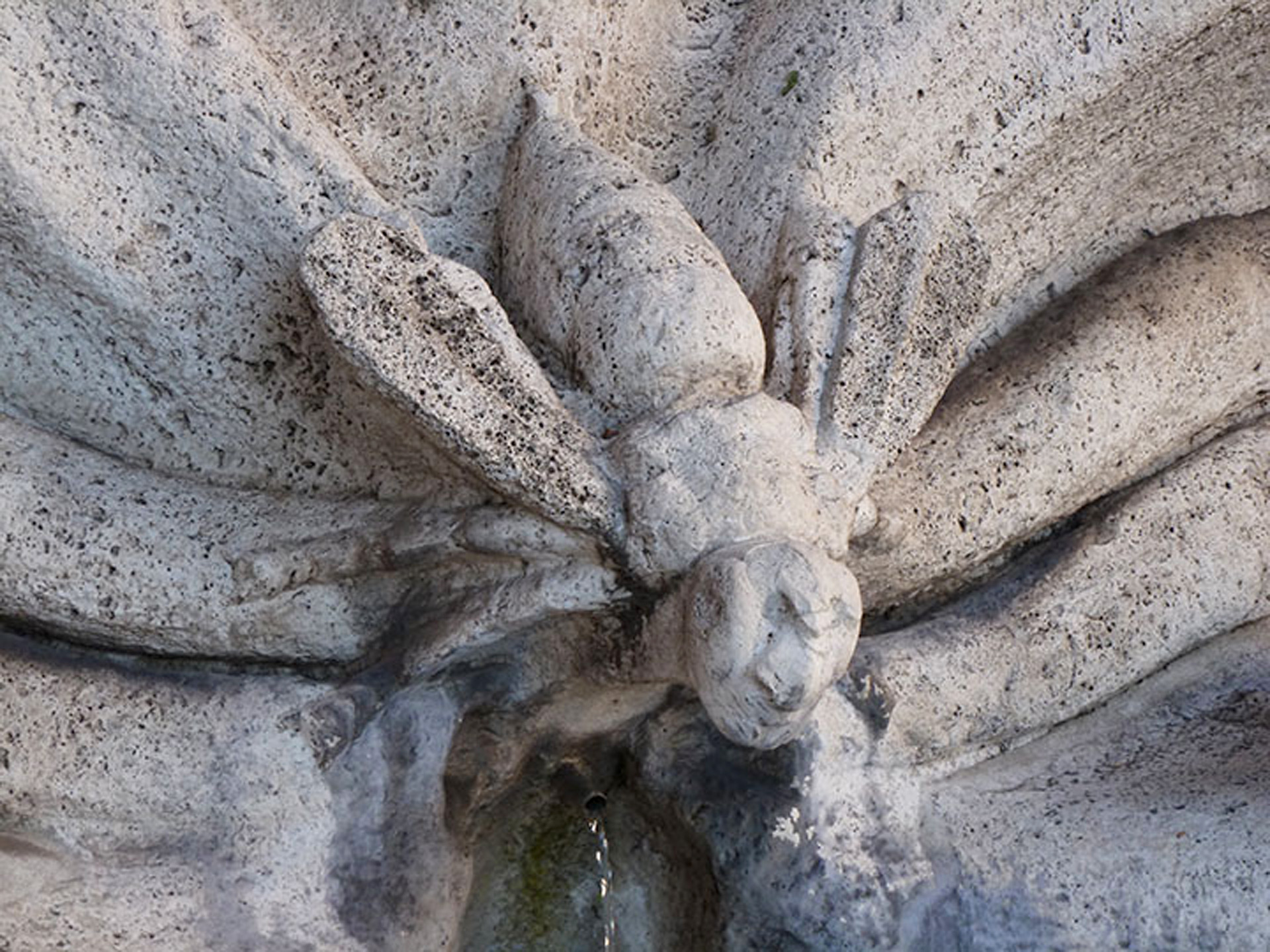 Detail of a bee on a Gian Lorenzo Bernini sculpture