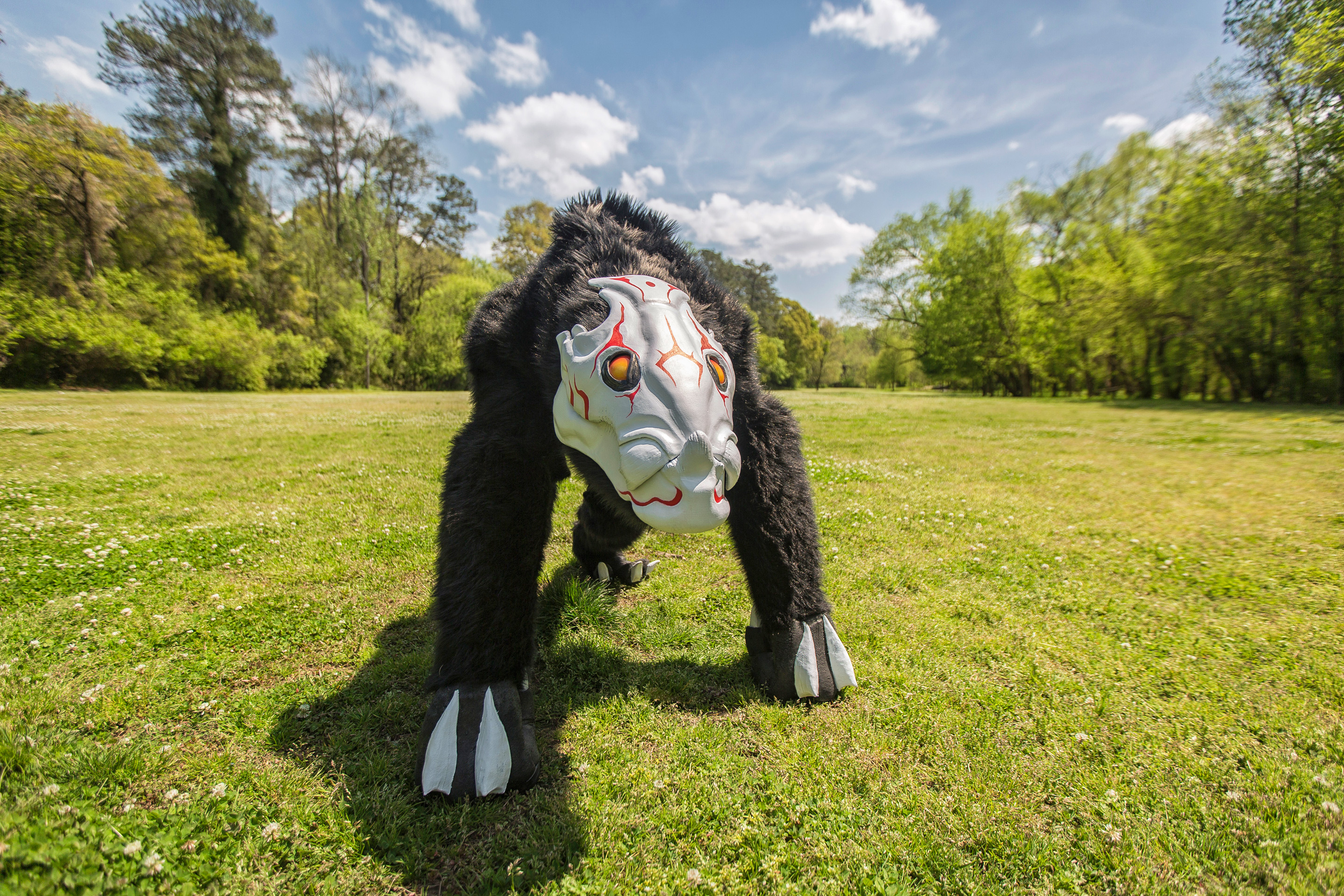 Black, furry, four-legged creature with skull-like face