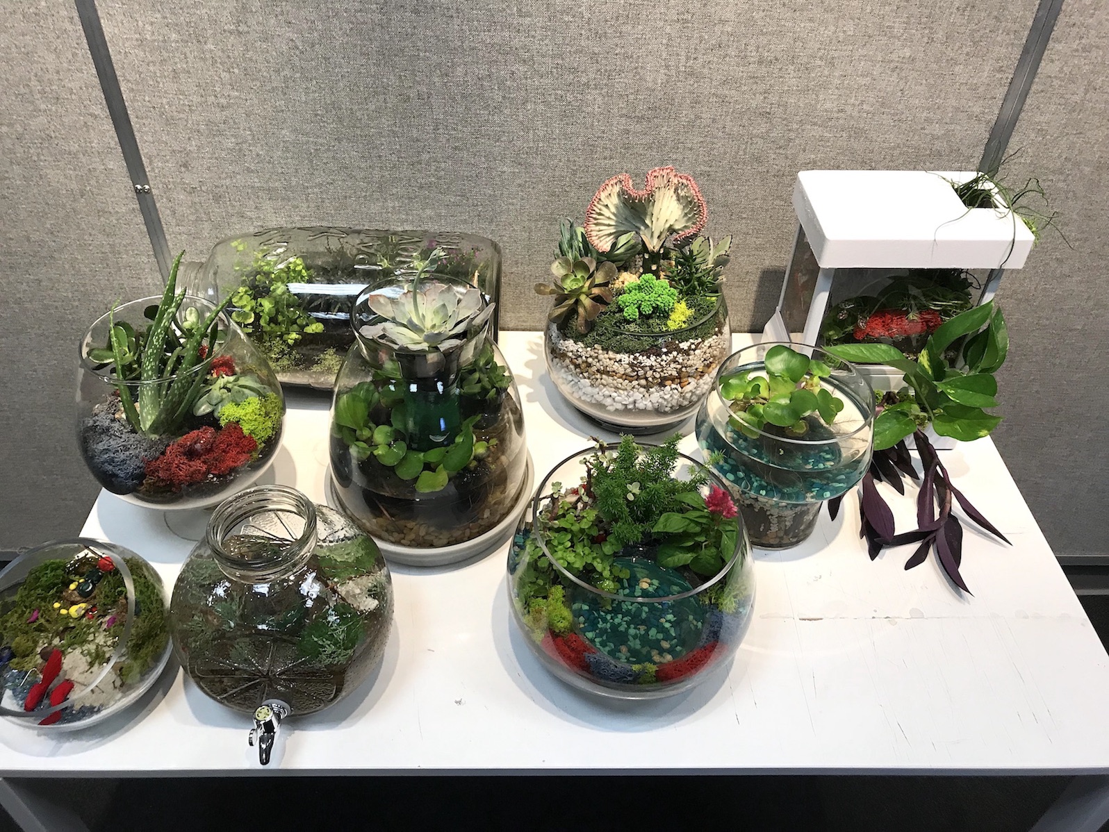 urban design plantings