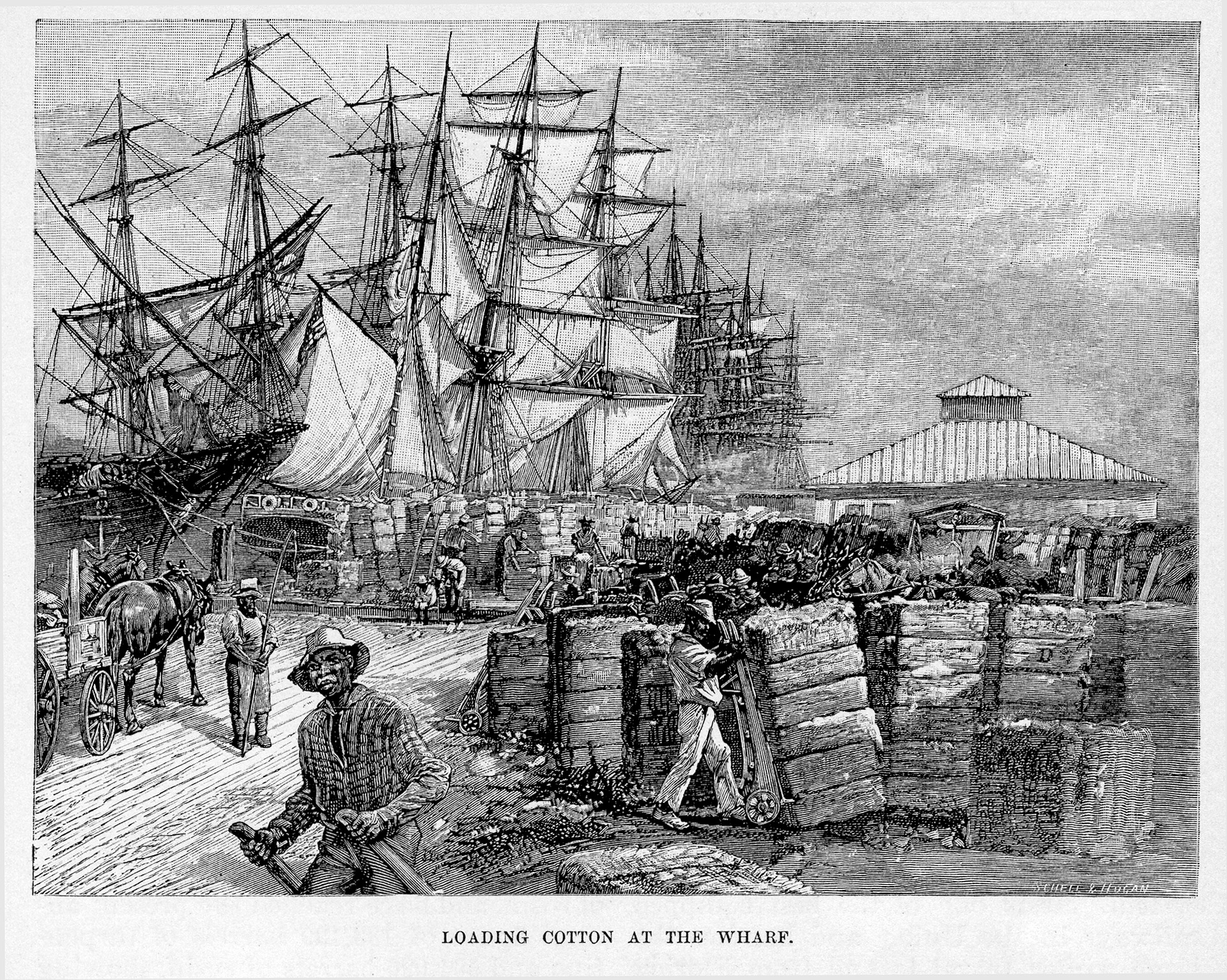Loading Cotton at the Wharf, Harper's 1888