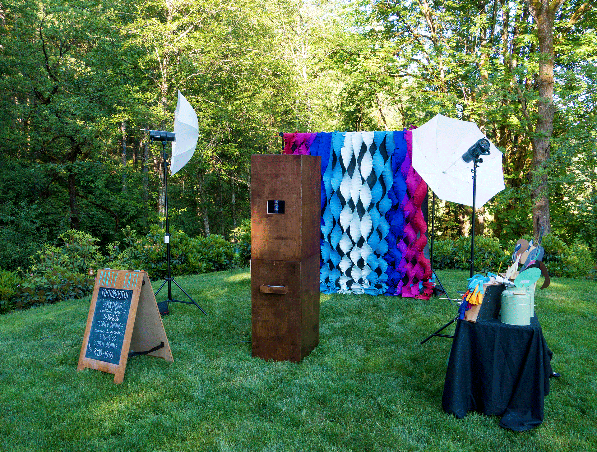 Party Cat photo booth set up with blue and pink backdrop 