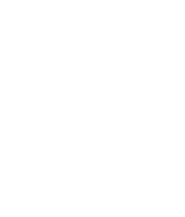 savannah filmfest logo