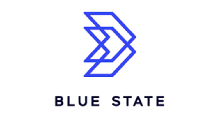 Blue State company logo