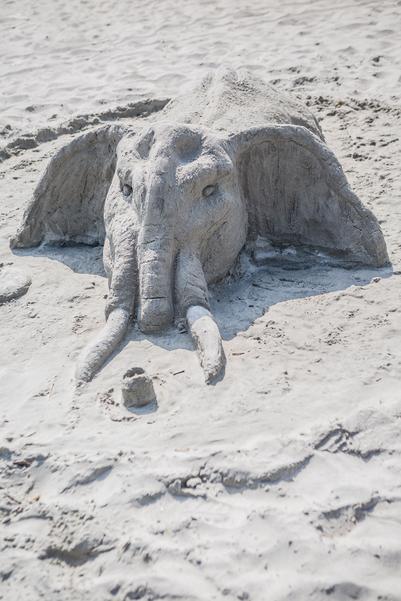 Sand sculpture elephant with large tusks