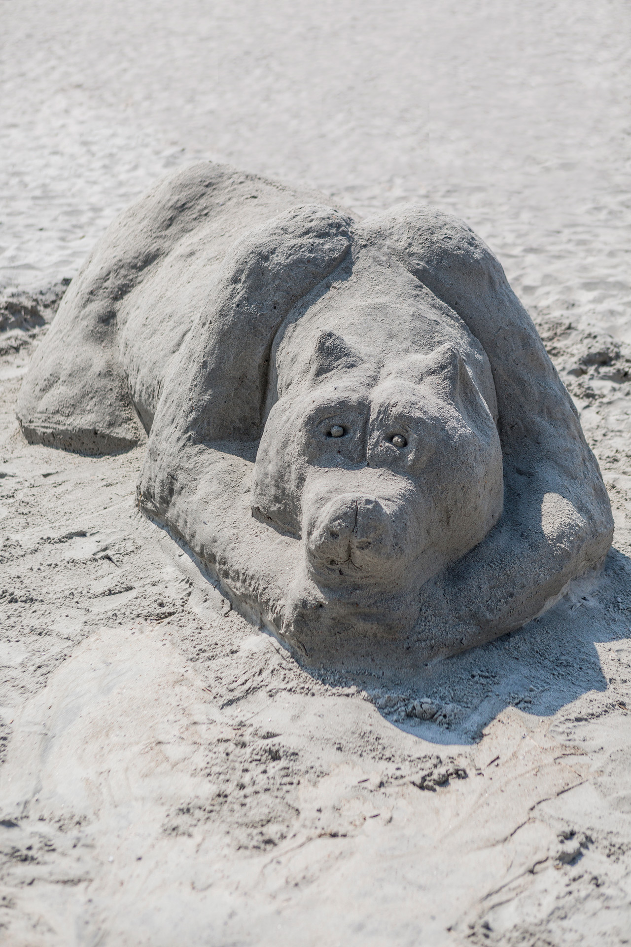 Sand sculpture of a bear who rests his head on his front paws