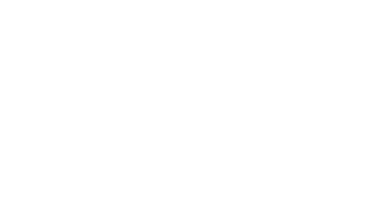 The Flatbush Foundation