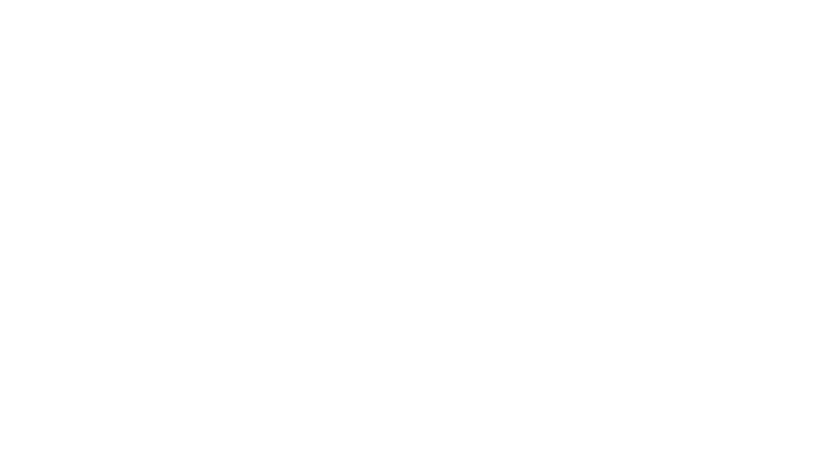 The Fitzroy