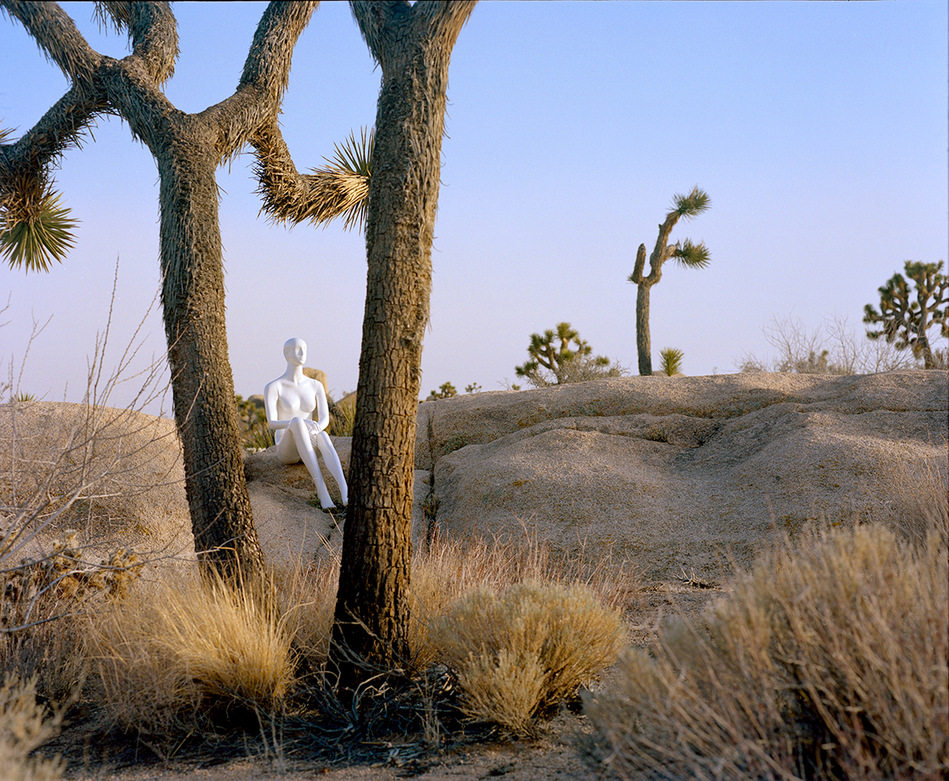 Photography graduate Marc Newton's work featuring mannequin in Joshua Tree National Park
