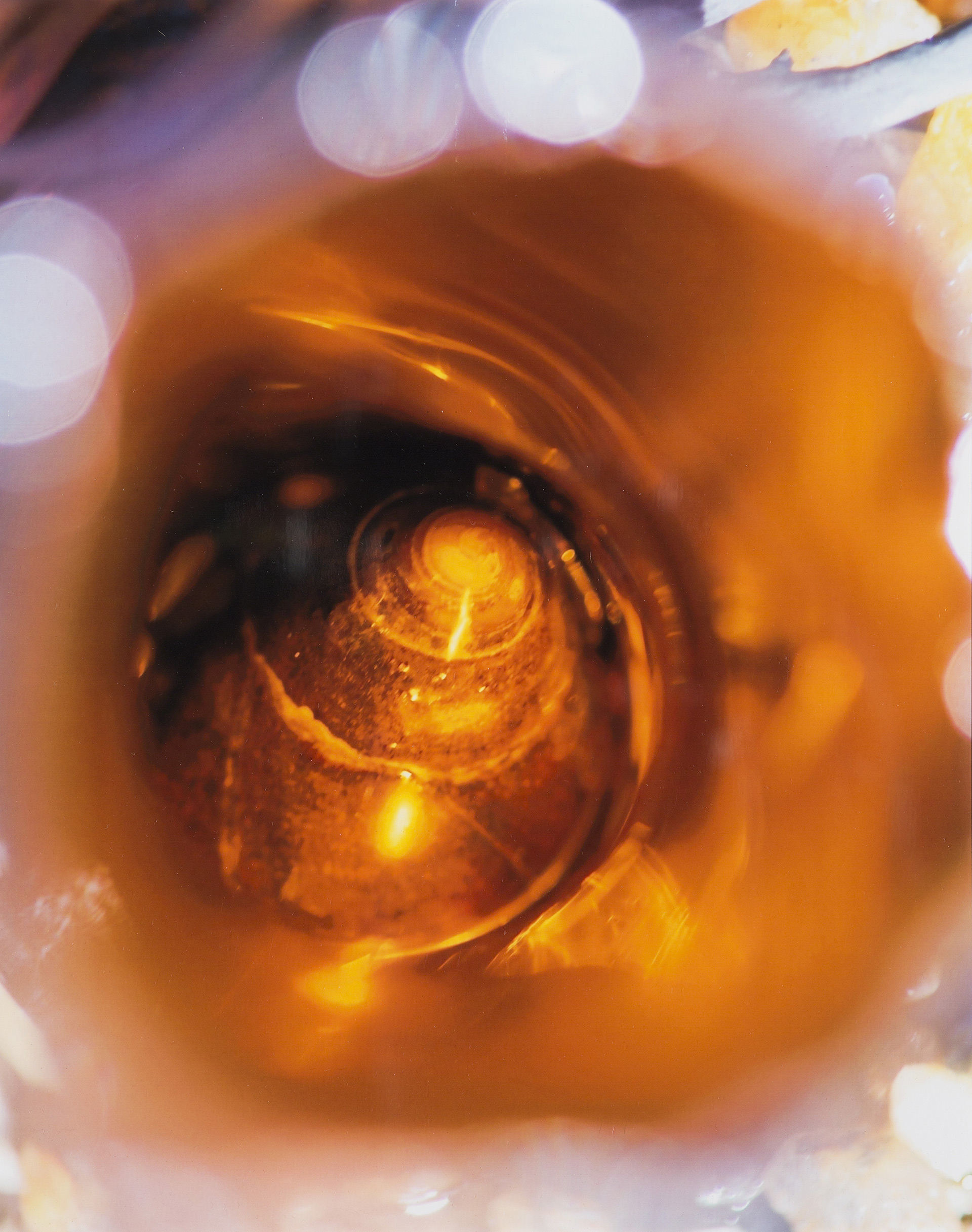 Patricia Burkard, photography, Winkles and Glass