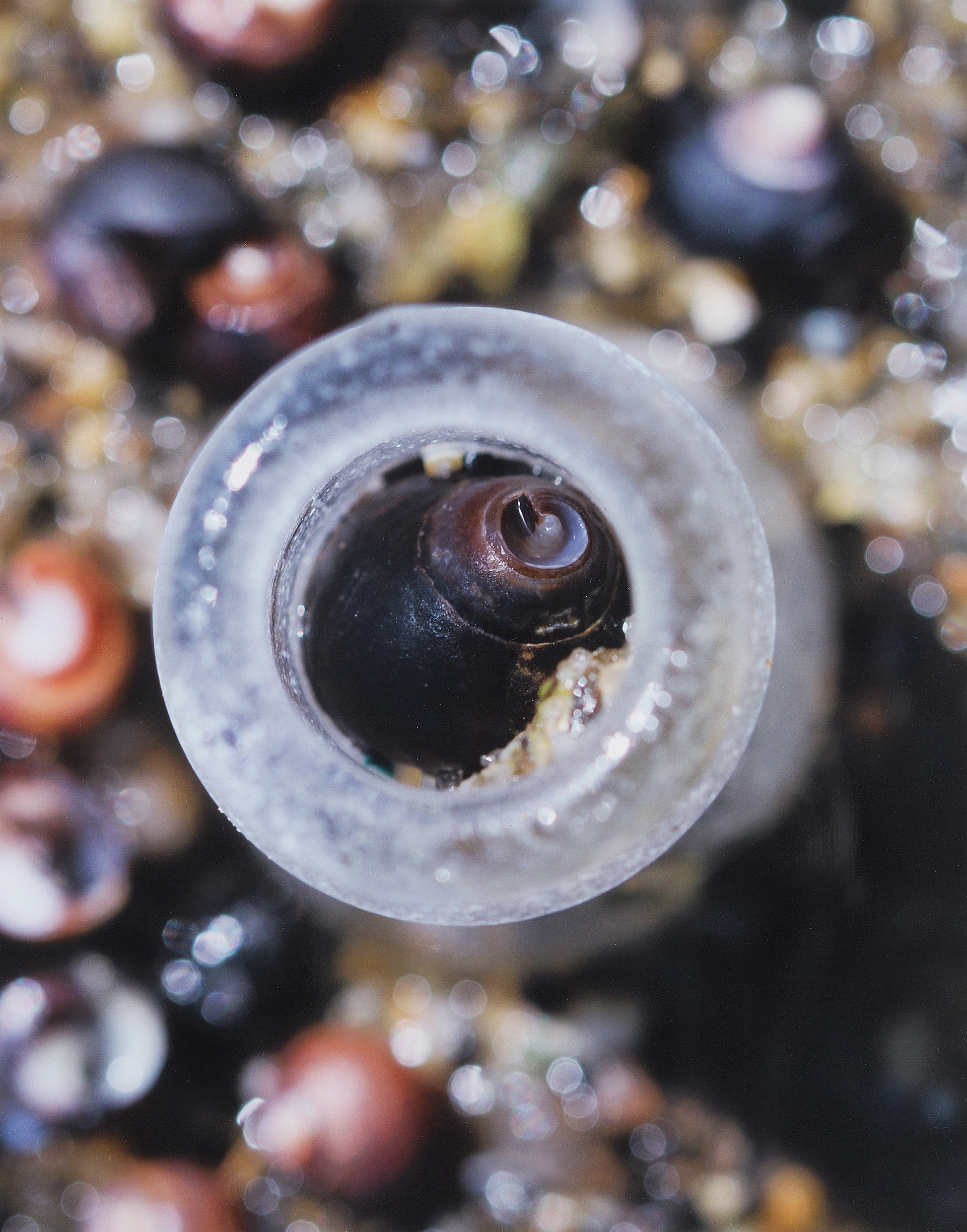 Patricia Burkard, photography, Bottleneck