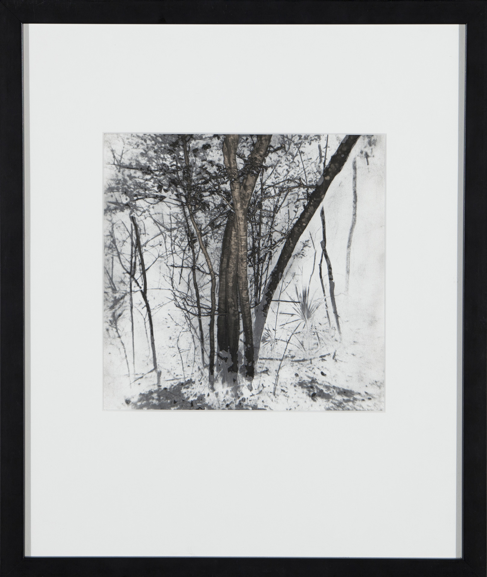 Untitled, 2002, Taylor Bareford