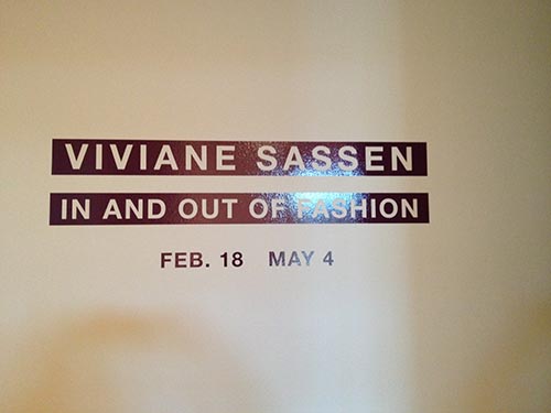 Entry panel for Viviane Sassen's exhibition