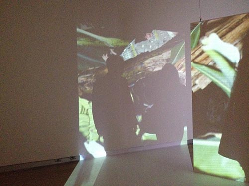 Viviane Sassen's work