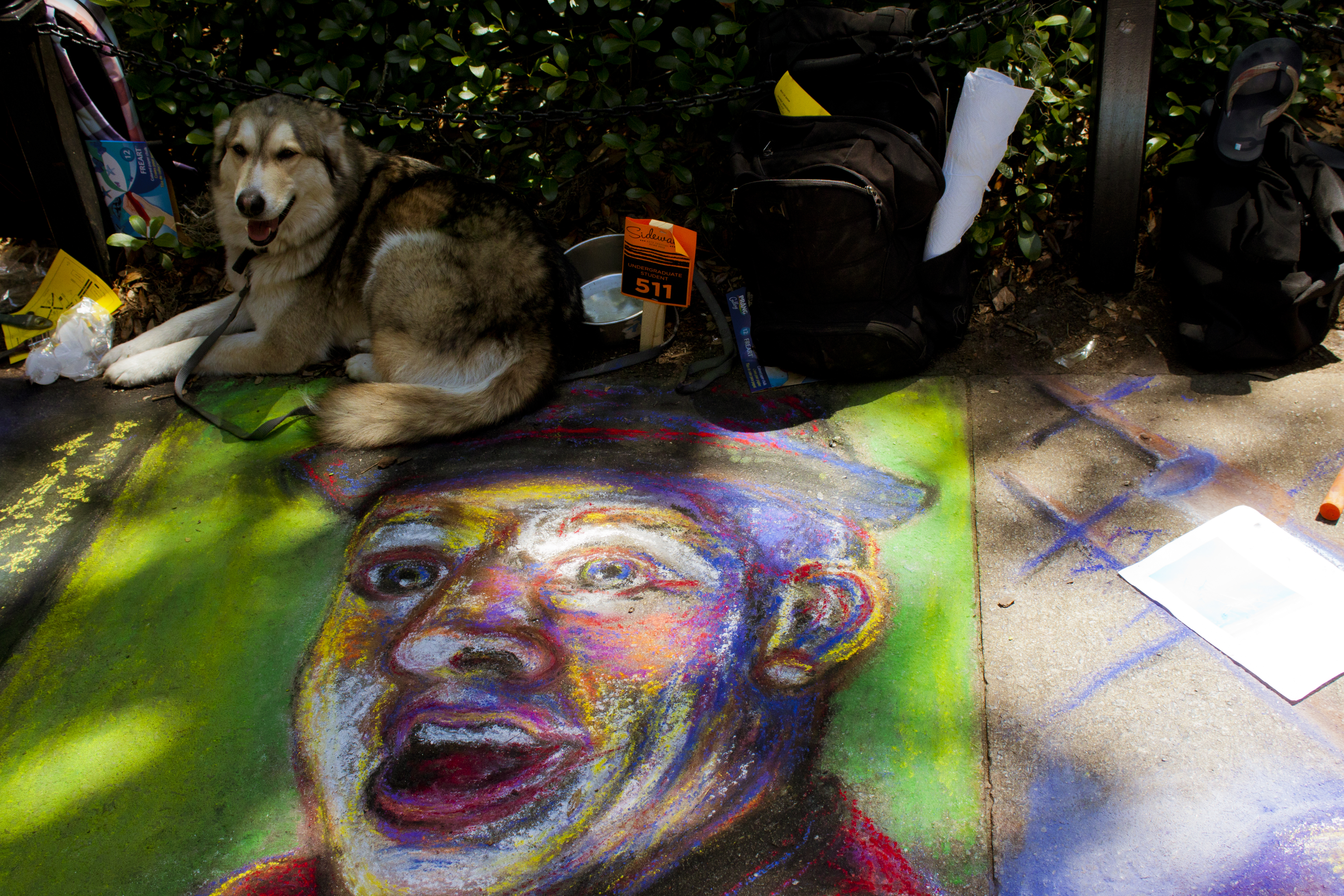 Dog lays next to sidewalk chalk artwork of a colorful man smiling
