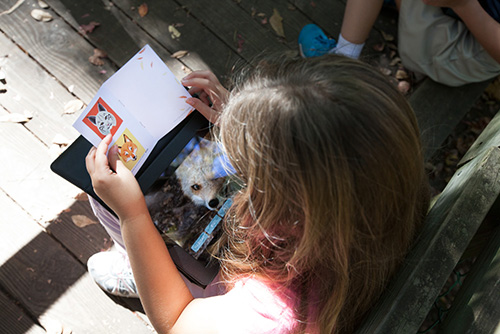 Student explores booklet full of stickers