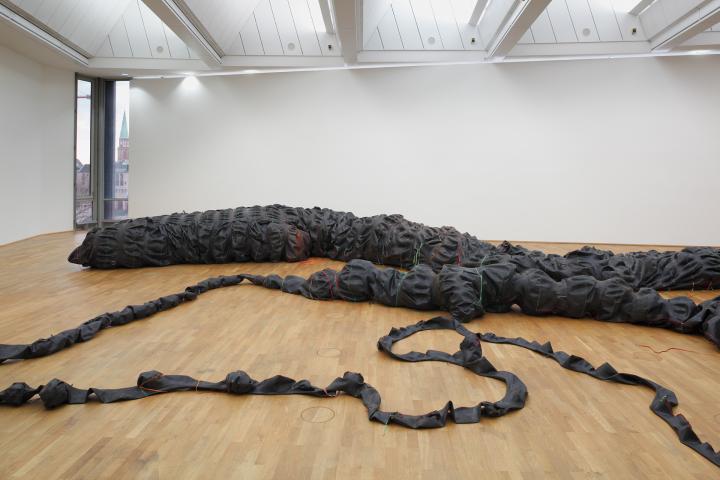96761Nicholas Hlobo, Tyaphaka, 2012