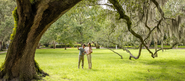 Students study tree canopy as a part of the SCAD Serve initiative Design for Good