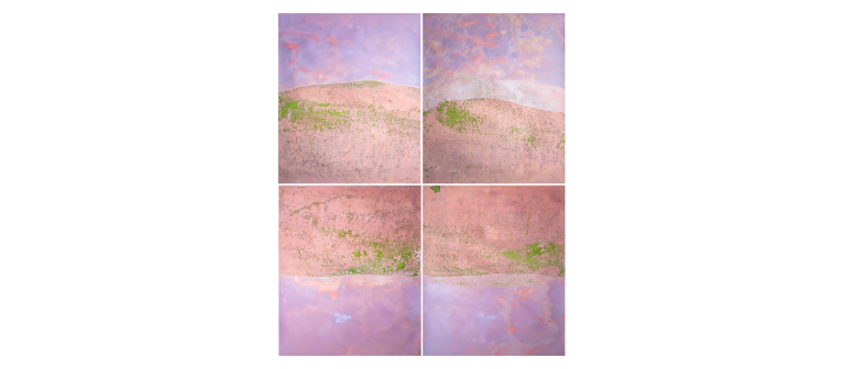 Signature image for SCAD Museum of Art "Earth, Matter, Paper" exhibition