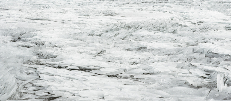 Lisa M. Robinson, M.F.A. photography, 1999, "Convergence," c-print, edition of 10.32" x 40", 2011.
