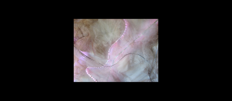 Bojana Ginn, "Faraday's Dream," 2012.