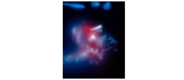 Signature image for Zaccheo Zhang exhibition