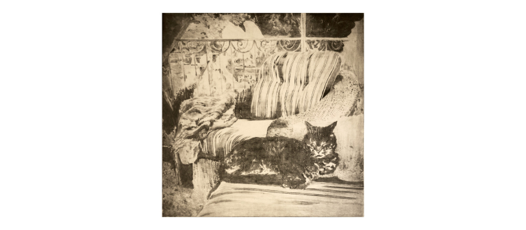 Signature image for Alexander Ink exhibition
