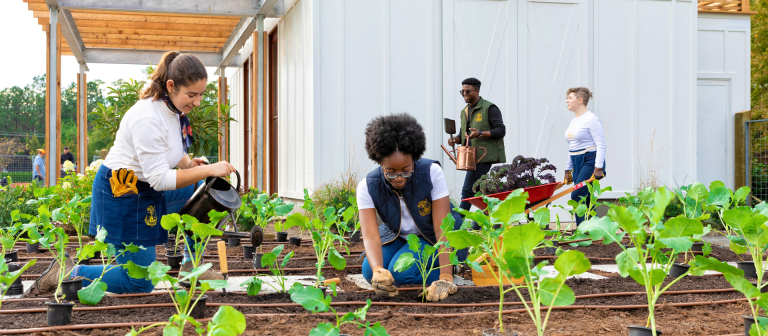 Students planting garden at SCAD Back40