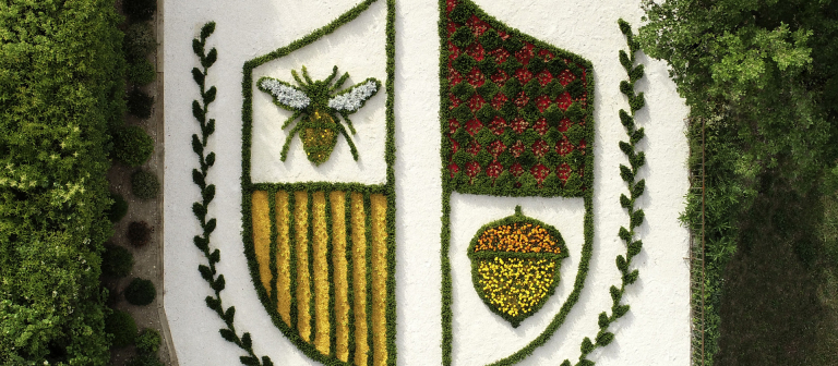 Lacoste summer garden overhead