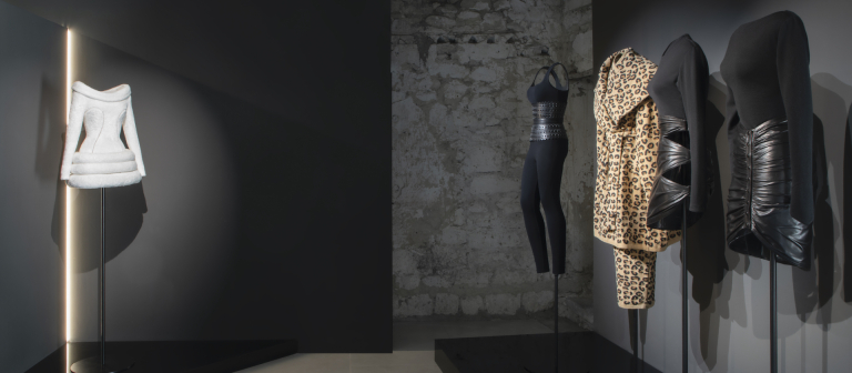 Alaia exhibit image