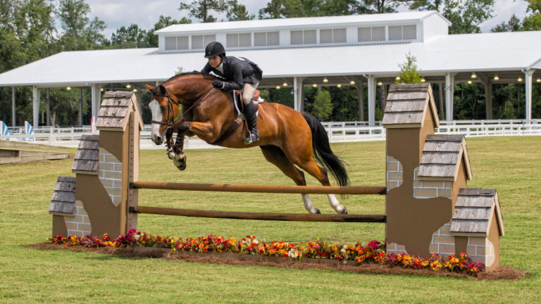 SCAD equestrian