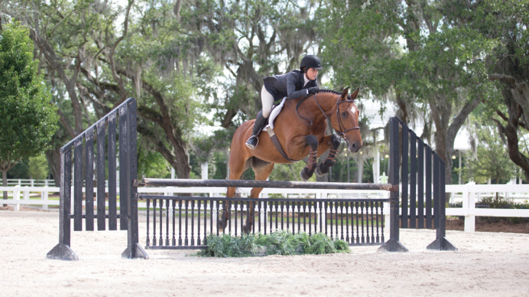 Equestrian studies student jumping fence Equestrian studies student jumping fence
