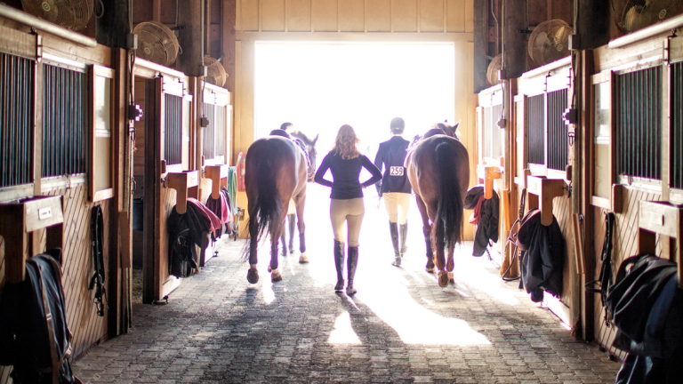 Equestrian studies students leading horses from barn Equestrian studies students leading horses from barn
