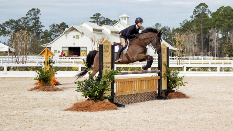 Equestrian studies student Michael Kocher jumping at Ronald C. Waranch Equestrian Center Equestrian studies student Michael Kocher jumping at Ronald C. Waranch Equestrian Center