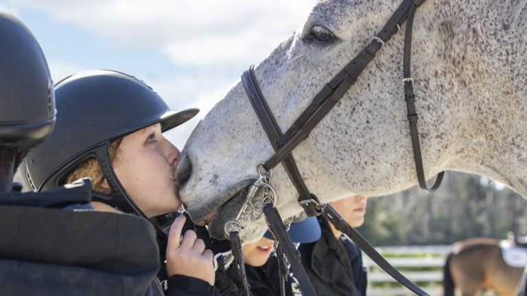 Equestrian studies student with horse