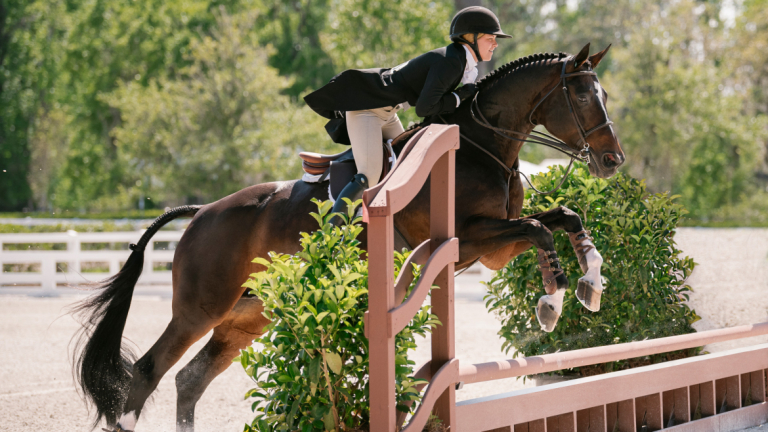 Equestrian studies student in competition