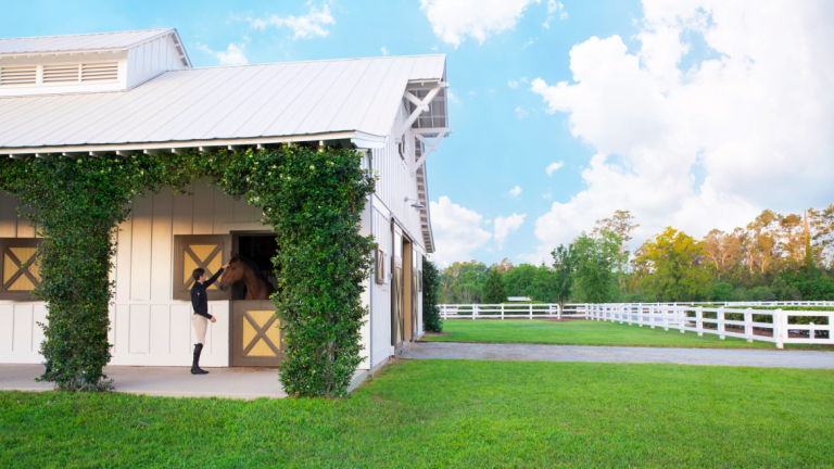 Equestrian studies facilities