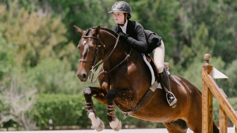 Equestrian studies student in competition