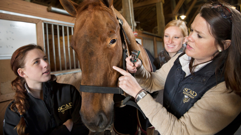 Equestrian studies students and instructor examine a horse