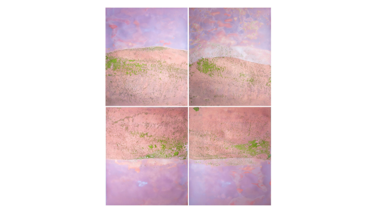 Signature image for SCAD Museum of Art "Earth, Matter, Paper" exhibition