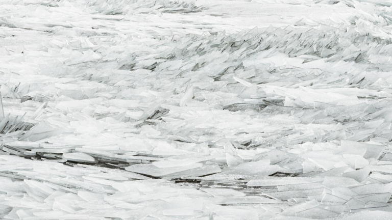 Lisa M. Robinson, M.F.A. photography, 1999, "Convergence," c-print, edition of 10.32" x 40", 2011.