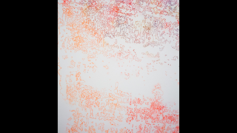 Ingrid Calame
