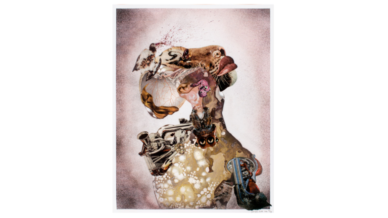 signature image for Personified exhibition